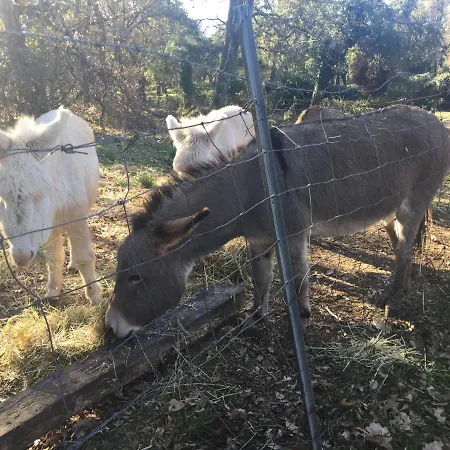 Alloggio per agriturismo Pranu