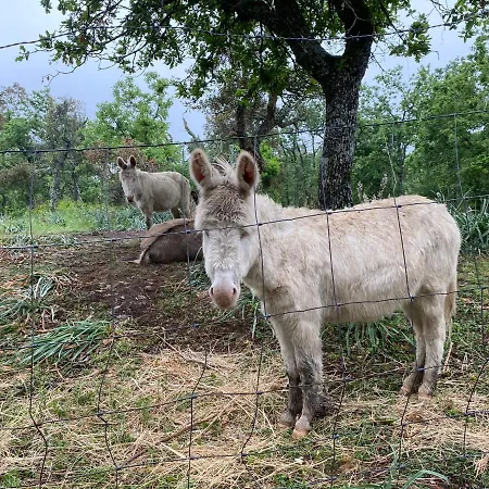 Pranu Alloggio per agriturismo