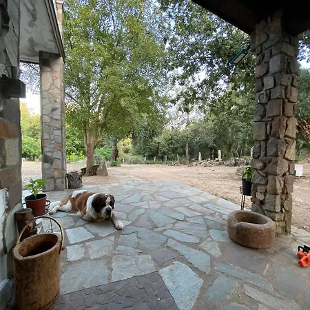 Alloggio per agriturismo Pranu Sorgono