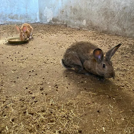 Farma Pranu Sorgono