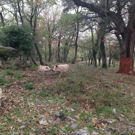 Pranu Alloggio per agriturismo *