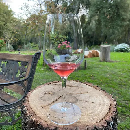 Pranu ファームステイ *