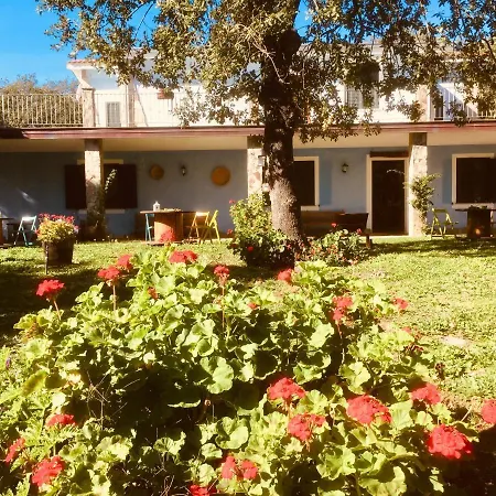 Pranu ファームステイ