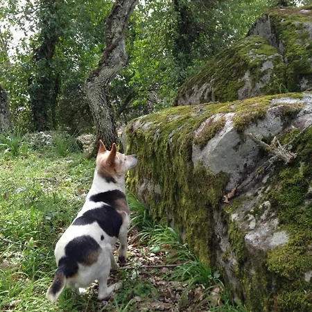 Pranu ファームステイ