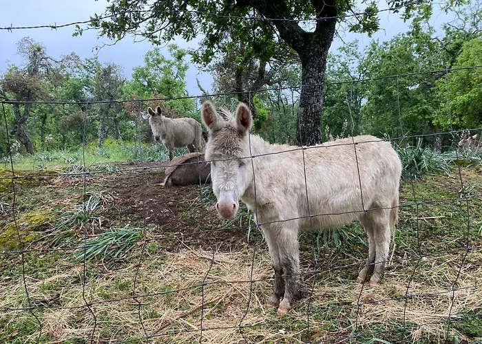 Pranu Alloggio per agriturismo