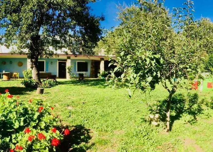 Alloggio per agriturismo Pranu *